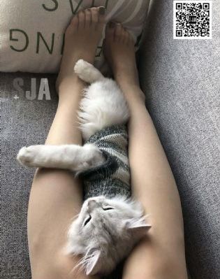 国产助力自行车_蓝光在线观看完整版